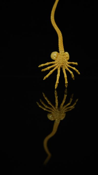 figma#SP-108 异形 竹谷隆之版