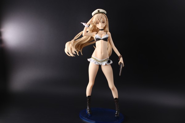 Avian Romance 丽色军舰鸟