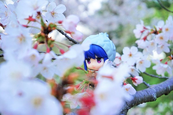 粘土人#981 摇曳露营△ 志摩凛