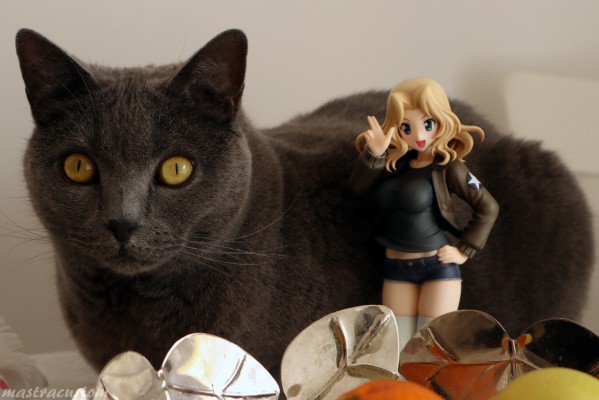 DreamTech 少女与战车 剧场版 凯伊 战车夹克版