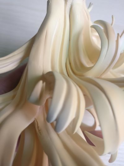 外援驾到！！！ Sandy Bash