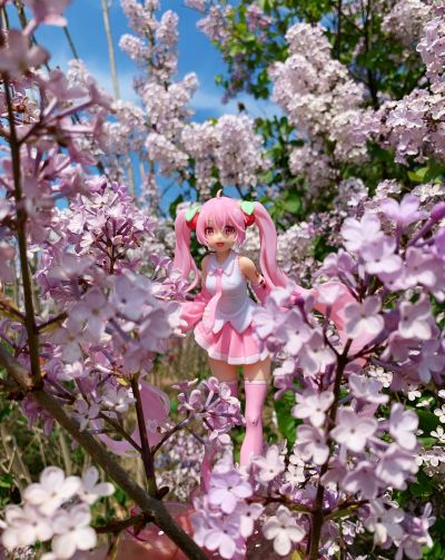 VOCALOID 初音未来 樱未来 新插画版