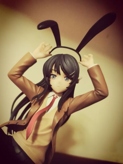 青春期笨蛋不做兔女郎学姐的梦  樱岛麻衣