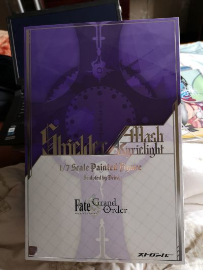 命运-冠位指定 盾兵-玛修·基列莱特