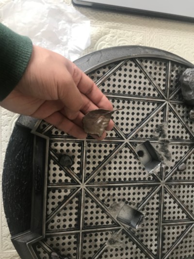 遗产博物馆Collection 侏罗纪世界2：失落王国 布鲁（幼龙版）