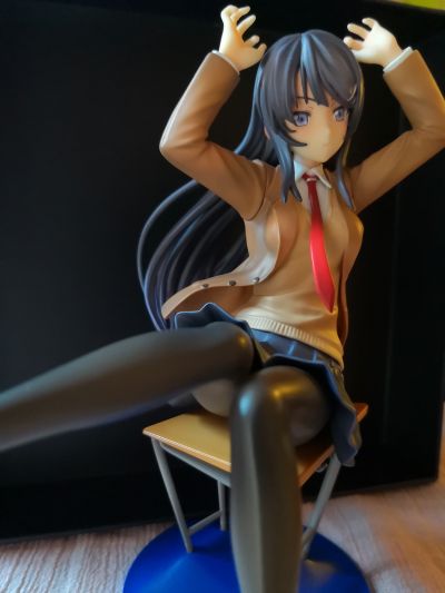青春期笨蛋不做兔女郎学姐的梦  樱岛麻衣