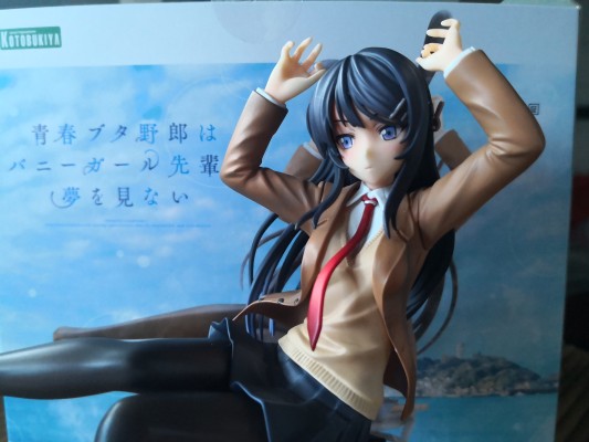 青春期笨蛋不做兔女郎学姐的梦  樱岛麻衣