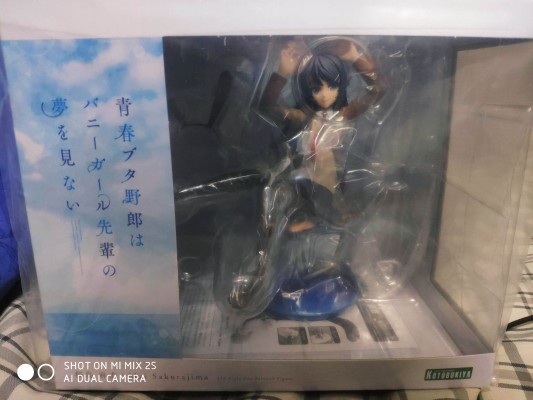 青春期笨蛋不做兔女郎学姐的梦  樱岛麻衣