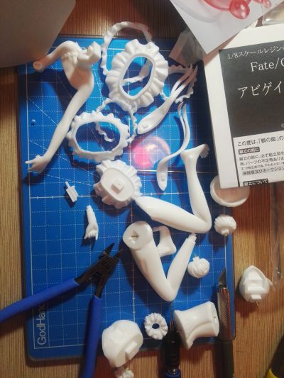 Fate / Grand Order 阿比盖尔·威廉姆斯 Gainen Reisou