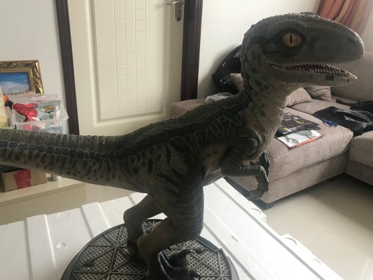 遗产博物馆Collection 侏罗纪世界2：失落王国 布鲁（幼龙版）