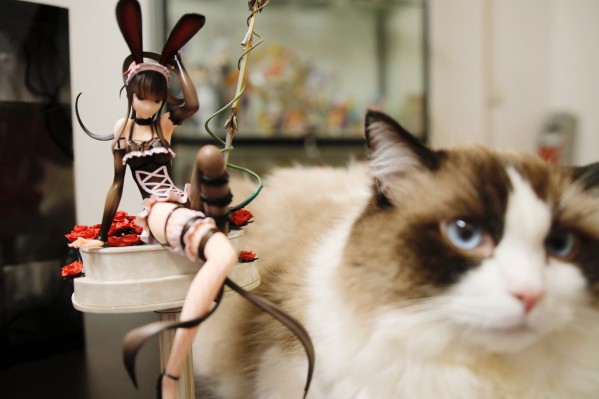 OVERLORD 娜贝拉尔・迦玛 so-bin版