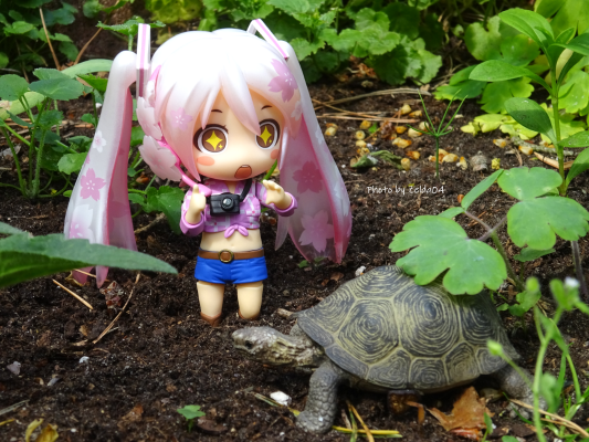 黏土人もあ Love Live! Sunshine!! 