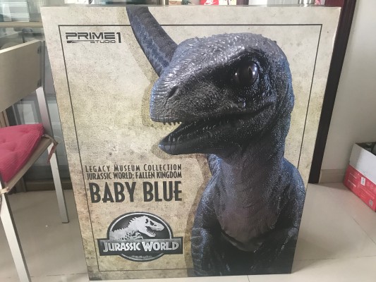 遗产博物馆Collection 侏罗纪世界2：失落王国 布鲁（幼龙版）