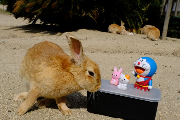 跟着机器猫去濑户内海
