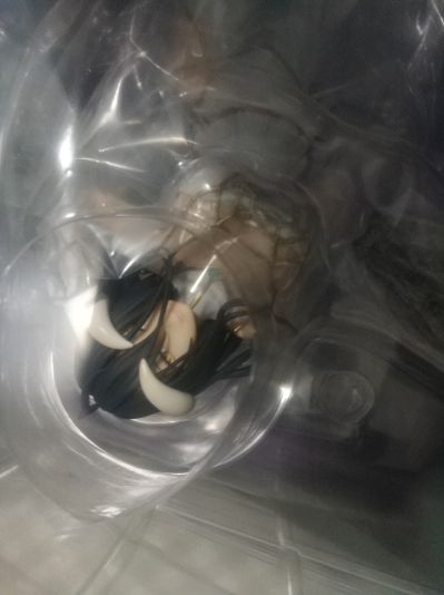 OVERLORD 雅儿贝德