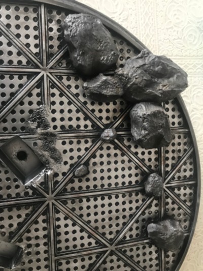 遗产博物馆Collection 侏罗纪世界2：失落王国 布鲁（幼龙版）