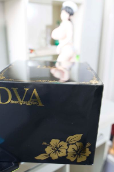 Melonbooks扶她挂画 DVA 日光浴ver