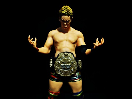 プロ格ヒーローズF 新日本プロレスリング オカダ・カズチカ 