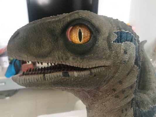 遗产博物馆Collection 侏罗纪世界2：失落王国 布鲁（幼龙版）