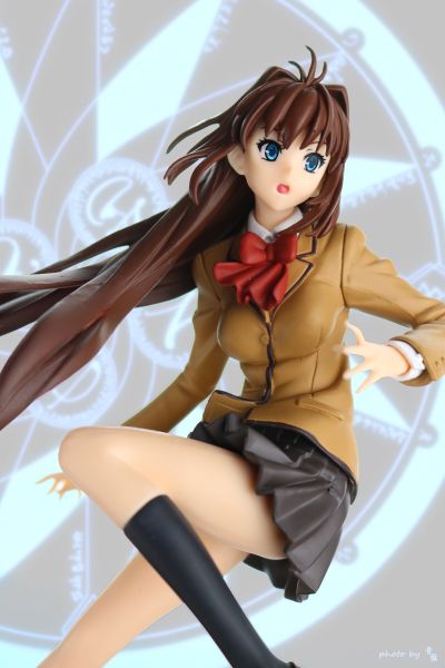 魔法使之夜   “蒼崎青子”