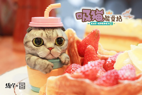 吸猫能量站