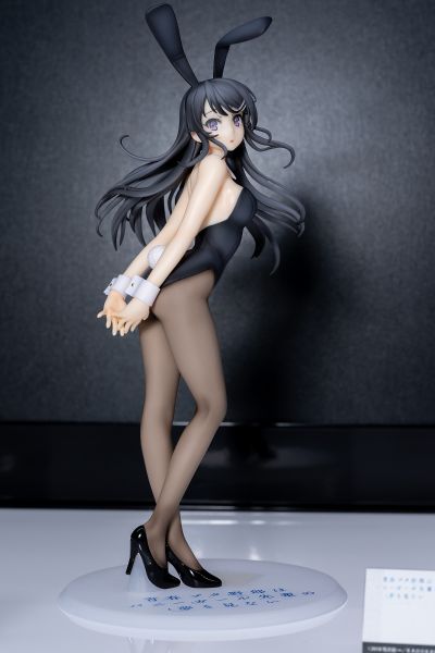 青春期笨蛋不做兔女郎学姐的梦 樱岛麻衣 ～兔女郎～