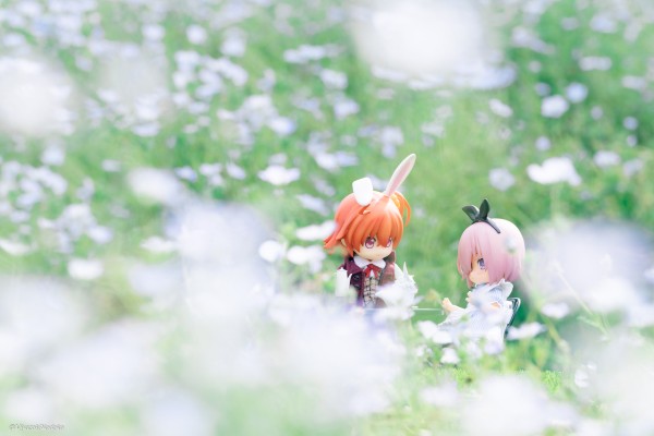 黏土人×DOLL 白兔