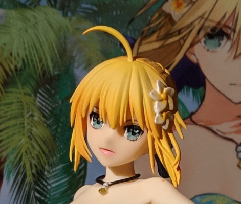 フェイト／エクステラ SABER Resort Vacances