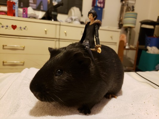 figma#301 无头骑士异闻录 第二季 折原临也