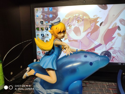 一番赏 〈物语〉系列 忍野忍 [A赏]