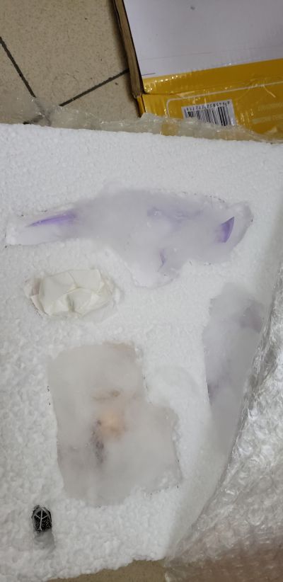 碧蓝航线 吸血鬼