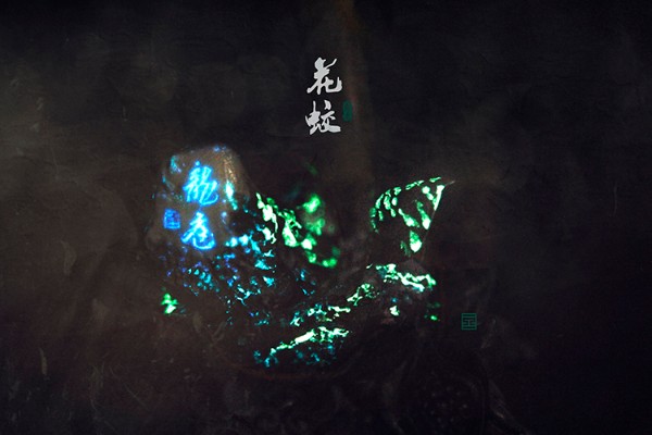 《龙庭·花蛟》