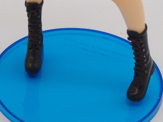 Avian Romance 丽色军舰鸟