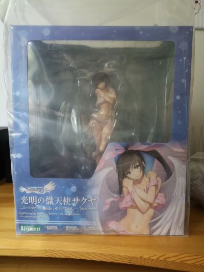 光明之风 吴羽冬华