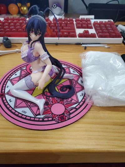 恶魔高中D×D HERO 姬岛朱乃 内衣