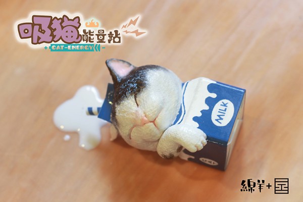 吸猫能量站