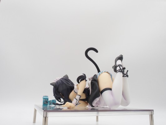 CAT LAP MILK