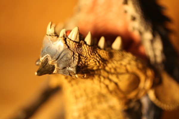 一番赏 怪物猎人3（トライ）G 雄火龙 