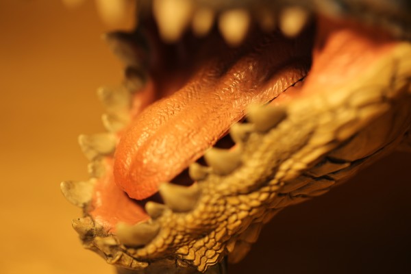 一番赏 怪物猎人3（トライ）G 雄火龙 