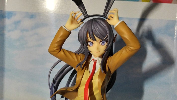 青春期笨蛋不做兔女郎学姐的梦  樱岛麻衣