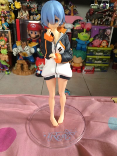 PCS Re：从零开始的异世界生活 雷姆~菜月昴的外套~