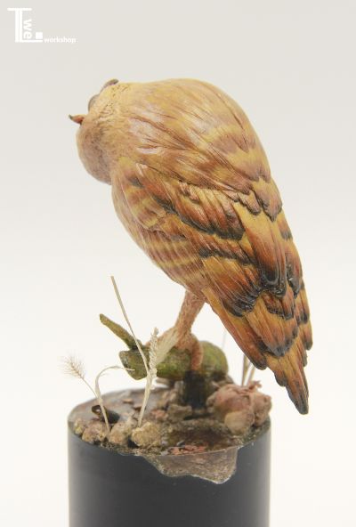 TTwei-猫头鹰系列