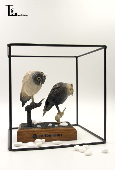 TTwei-猫头鹰系列