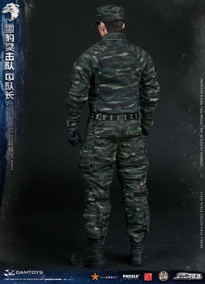 DAMTOYS 78053 1/6 中国人民武装警察部队特警部队 雪豹突击队 中队长