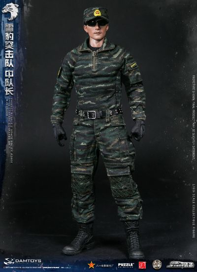 DAMTOYS 78053 1/6 中国人民武装警察部队特警部队 雪豹突击队 中队长