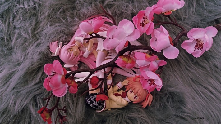 SQ系列 剧场版 魔法少女小圆 叛逆的物语 鹿目圆香 Relax time 