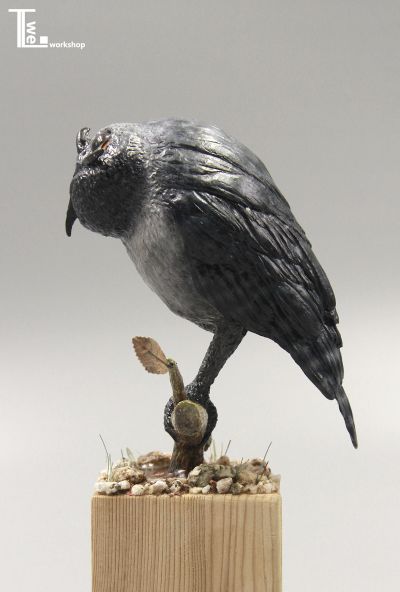 TTwei-猫头鹰系列