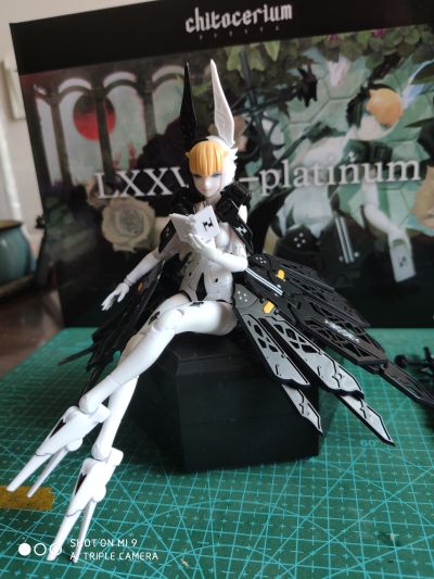 Chitocerium LXXVIII-platinum (prototype)