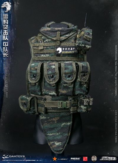 DAMTOYS 78053 1/6 中国人民武装警察部队特警部队 雪豹突击队 中队长