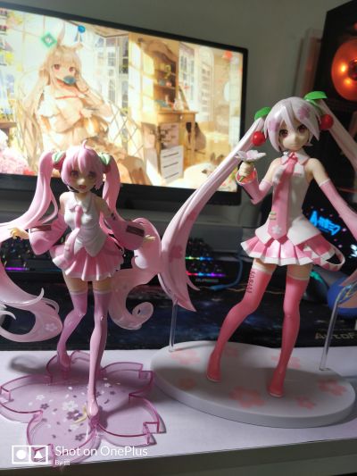 超级景品 VOCALOID 初音未来 樱花未来